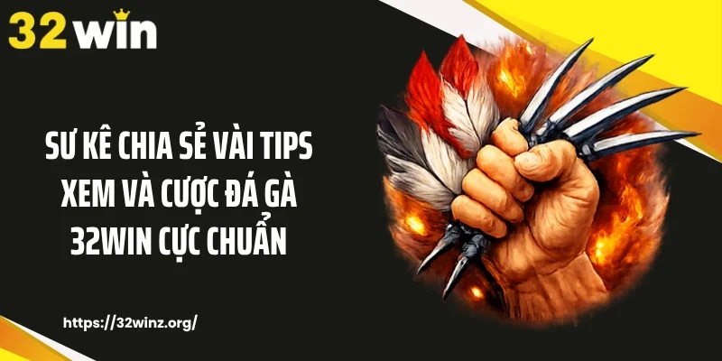 Sư kê chia sẻ vài tips xem và cược đá gà 32WIN cực chuẩn